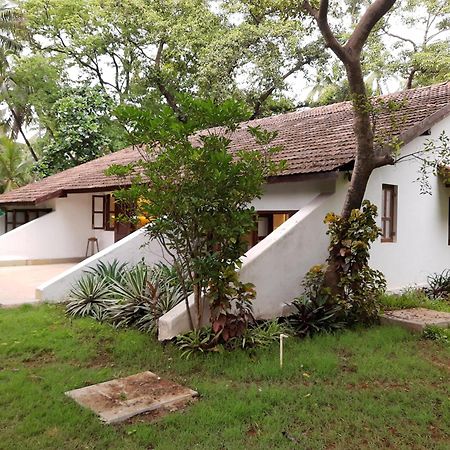 Banyan House - Luxurious 4 Bedroom Villa On One Acre, Near The Beach Nagaon  Esterno foto