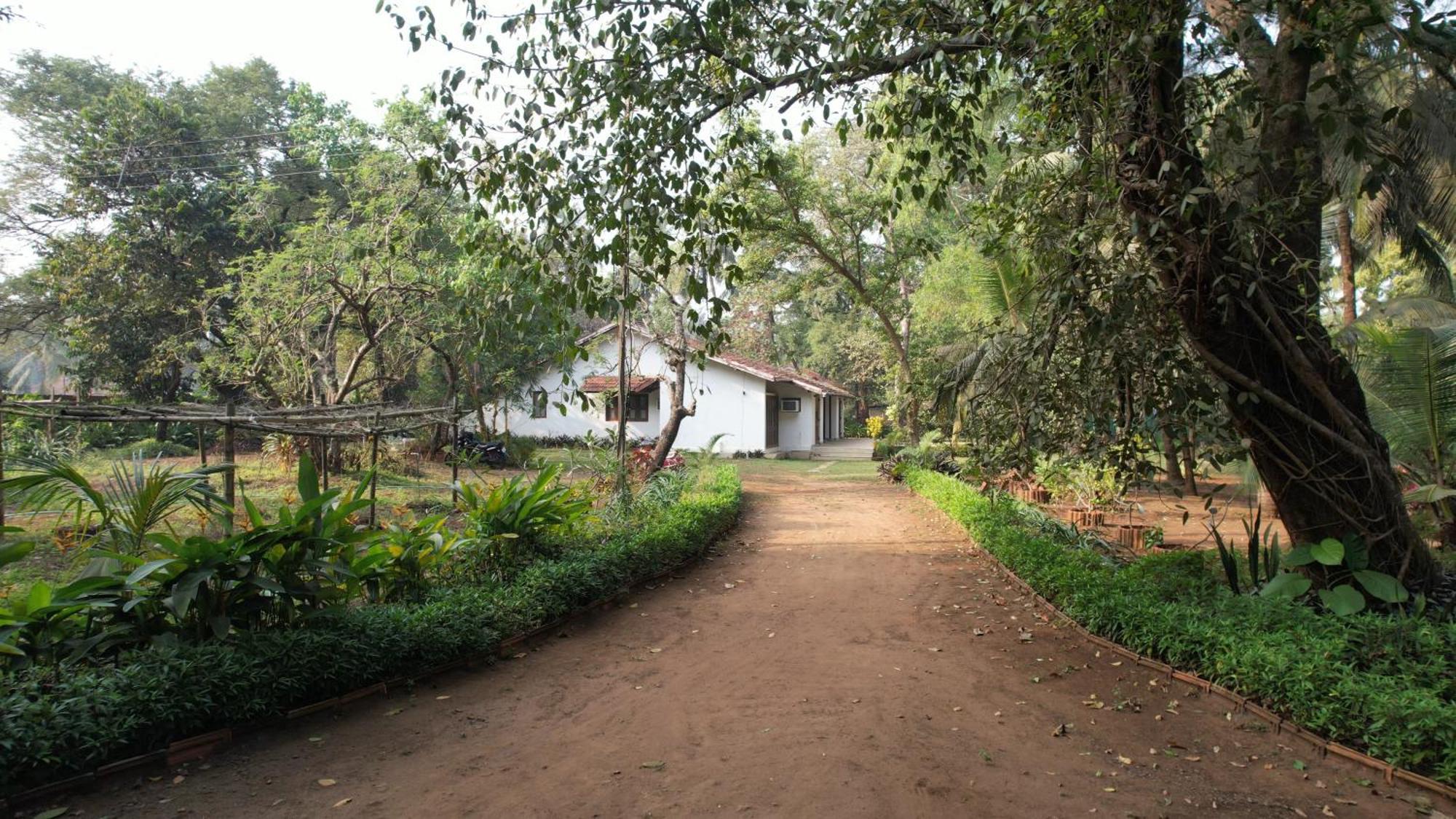 Banyan House - Luxurious 4 Bedroom Villa On One Acre, Near The Beach Nagaon  Esterno foto