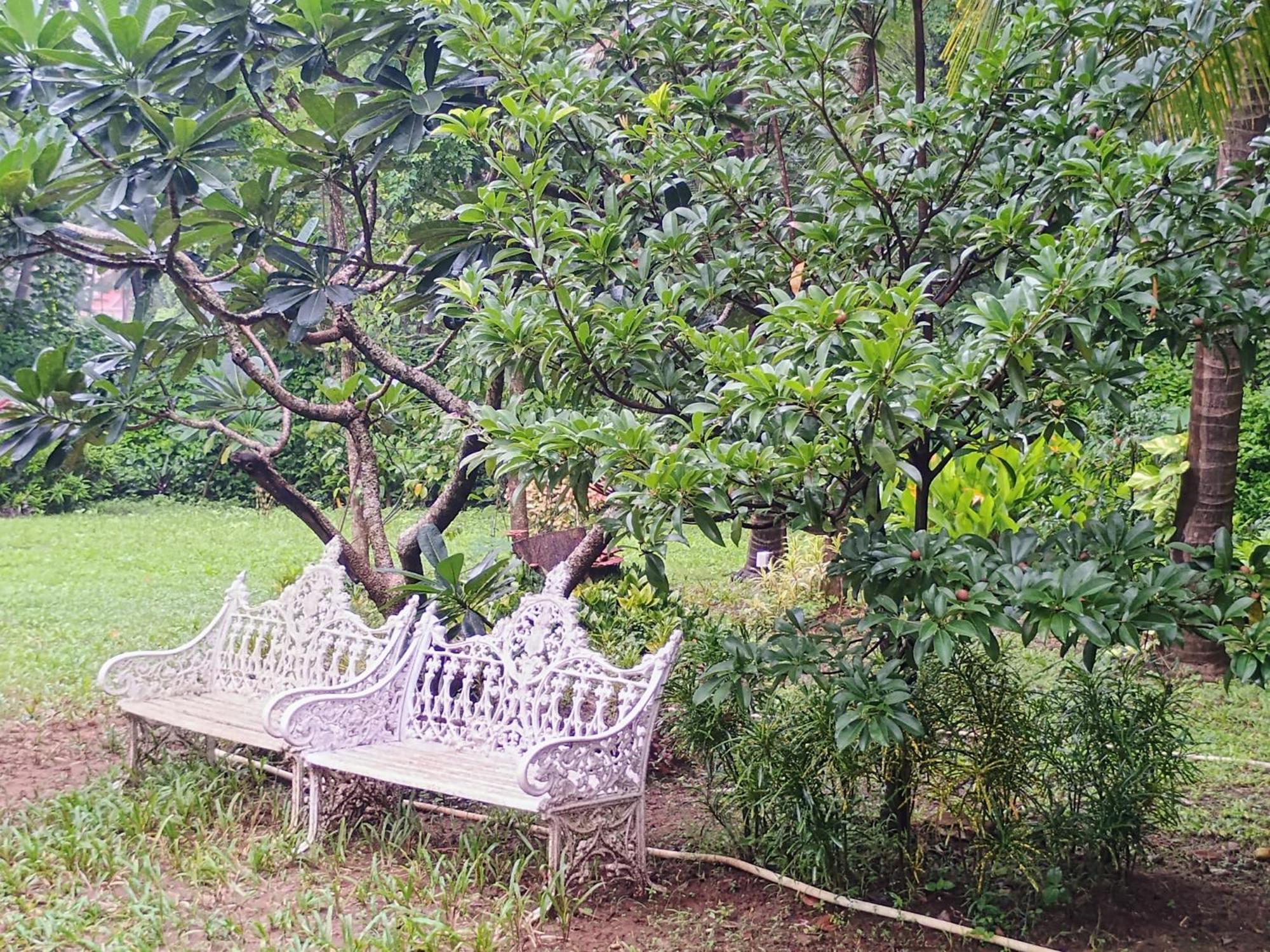 Banyan House - Luxurious 4 Bedroom Villa On One Acre, Near The Beach Nagaon  Esterno foto